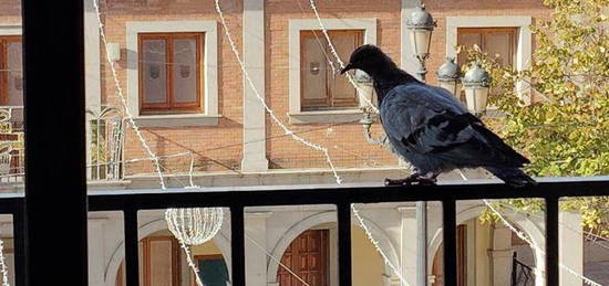 Piso de alquiler en Calle Real, 2, Albolote