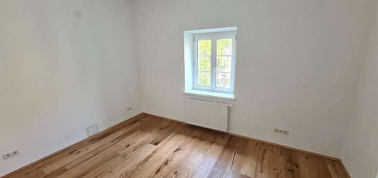 Neu renovierter 4-Zimmer Wohntraum in Graz/Geidorf