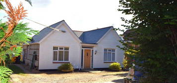 Bungalow for sale in Winchester Road, Four Marks, Alton, Hampshire GU34