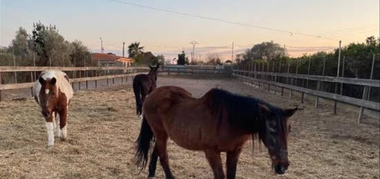 Finca rústica en venta en Partida Senillar P 24, El Grao