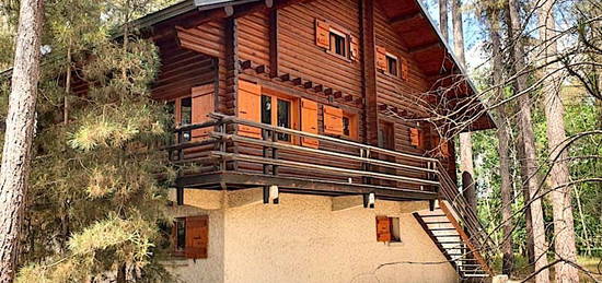 Chalet au coeur du Gatinais 96m2