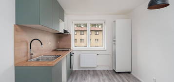 Pronájem bytu 2+1 55 m²