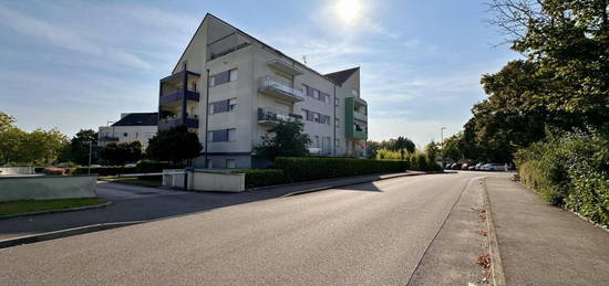 T4 avec superbe terrasse Quetigny