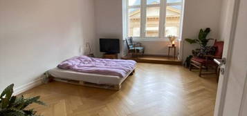 Schöne und helle Wohnung mit 1 Zii , separater Küche und Bad in der Heidelberger Innenstadt