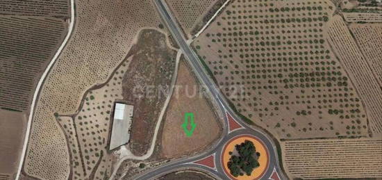 Finca rústica en venta en Padul