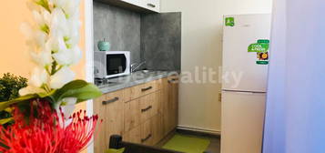 Prodej bytu 1+kk 28 m², Nekvasilova, Hlavní město Praha