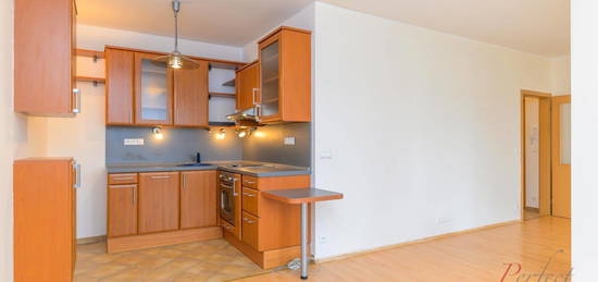 Byt 1+kk, 44 m², Lomená, Zbuzany