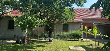 Eladó Ház, Szentes