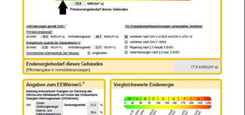 Neubau KFW40+ 3-Zi-Whg, EBK, Gäste-WC, Balkon, barrierefrei