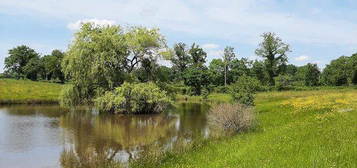 Rare : 2 hectares, un ancien relais de chasse de 160m2 et un étang (4000m2)