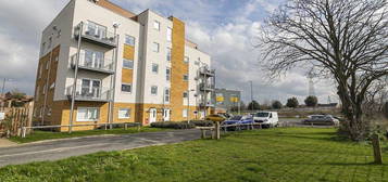 1 bed flat to rent