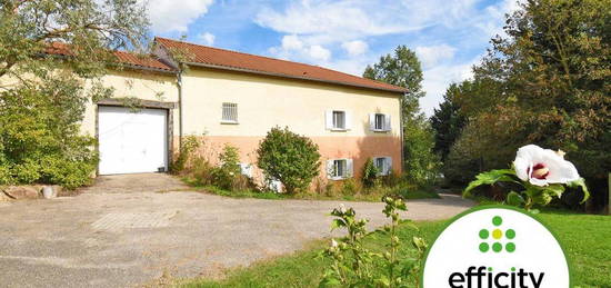 Maison  à vendre, 8 pièces, 5 chambres, 240 m²