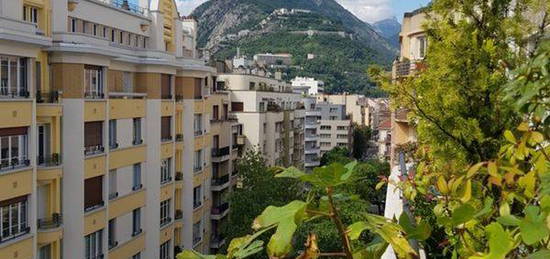 Championnet, charmant T1 de 27m2 avec grande terrasse de 11m2, vue sur les montagnes Vercors et Bastille