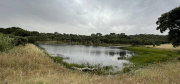 Herdade 719 hectares Montado (Yield entre 3% e 5%)