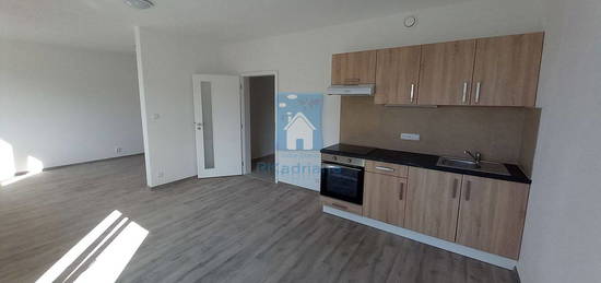 Pronájem bytu 1+kk 42 m²