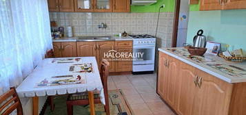 HALO reality - Predaj, rodinný dom Leopoldov