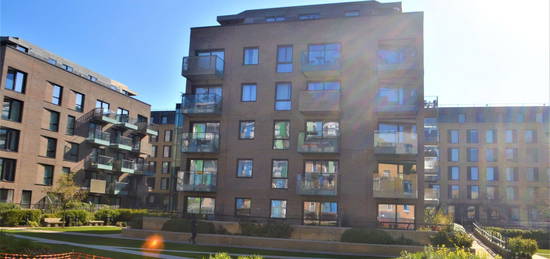 1 bed flat to rent