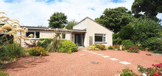 2 bed bungalow to rent