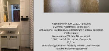 1 Zimmer Apartment zum 1.12.24 (54296 Trier, uninah)