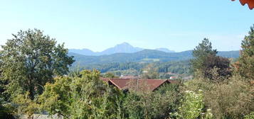 Singlewohnung mit atemberaubendem Bergblick in Ainring, Berchtesgadener Land - sofort beziehbar!