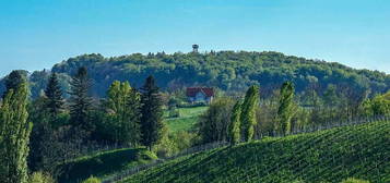 Panorama-Landhaus in der Südsteiermark - Ihr Traumdomizil mit Weinbergblick