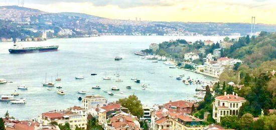 BEBEK ST TANOVA STES'NDE PANORAMK BEBEK KOYU MANZARALI KRALIK DARE