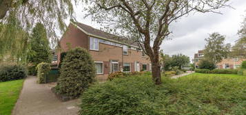 Prunusstraat 22