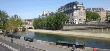 Vue magique Notre Dame le pont neuf