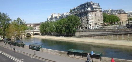 Vue magique Notre Dame le pont neuf