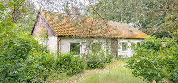 Bungalow auf großem Grundstück in Winsen OT