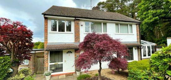 Detached house to rent in Diamond Ridge, Camberley GU15