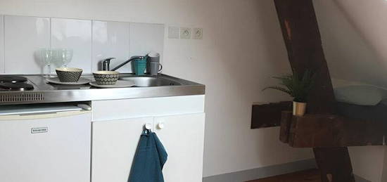 A LOUER -  NANTES ROND POINT DE VANNES - Appartement Type 1 bis DUPLEX de 19.25 m²  (40.11 m² au sol )