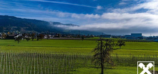 Raumwunder - Reihenhaus mit Weitblick