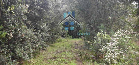 Casale/cascina in vendita a Luogosanto