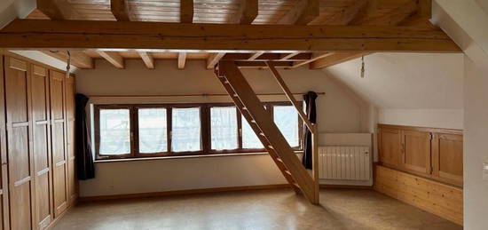 Maison 185 m² Pfulgriesheim