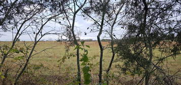 9.7 Acres S Farm Road 249, Rogersville, MO 65742