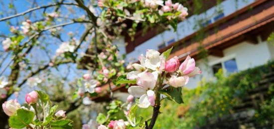 Zweifamilienhaus mit Garten und unverbaubarem Blick auf das Inntal - PROVISIONSFREI