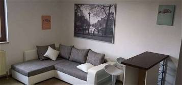 Voll-Möbiliert Modern Wohnung mit einem Raum und Einbauküche in Kornwestheim