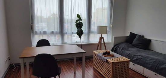 Perfekt zum Studienstart! 1-Zimmer-Wohnung in Trier