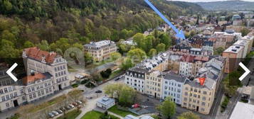 Prodej bytu 1+1 47 m², Wolkerova, Karlovy Vary