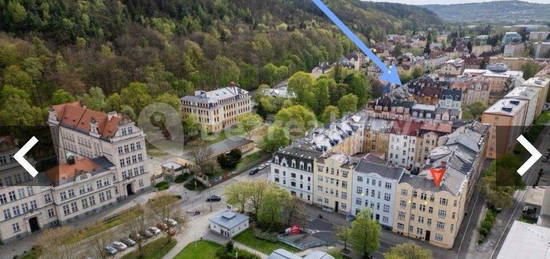 Prodej bytu 1+1 47 m², Wolkerova, Karlovy Vary