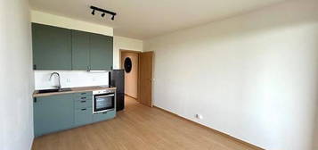 Pronájem bytu 1+kk 31 m²