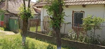 De vânzare casa particulara în Borosneu Mic