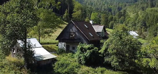 Rarität: Waldbauernhaus im Naturpark Ötscher-Tormäuer