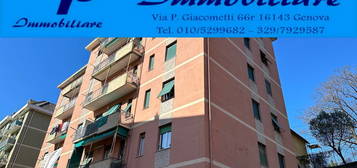 Quadrilocale in affitto in via Giovanni Trossarelli, 13 g