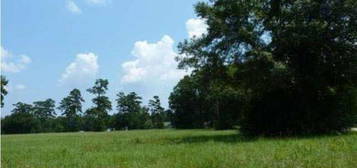 Lot 8 Lynda, Killian, LA 70462