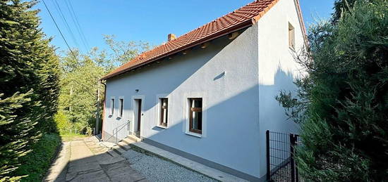 Pronájem  rodinného domu 140 m², pozemek 334 m²