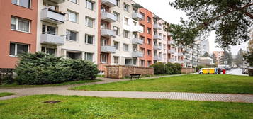 Byt 1+1, 35 m², třída Přátelství, Písek