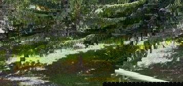 Dorog, Zrínyi lakótelep