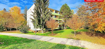 Prodej bytu 3+1 71 m²